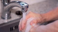 Belgique: le centre antipoison alerte de ne pas prendre un bain à l’eau de Javel