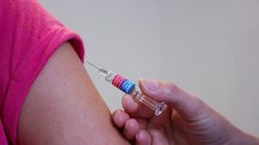 Près d’un quart des Français refuseraient le vaccin contre le coronavirus