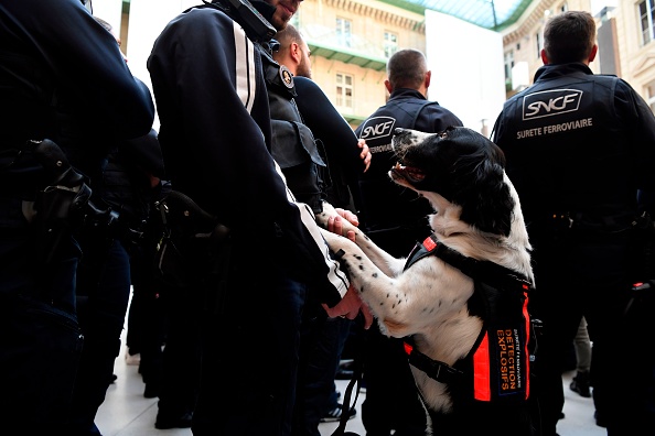 Photo d'illustration. Crédit :  ALAIN JOCARD/AFP via Getty Images.