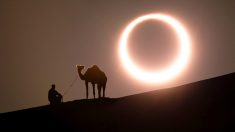 La plus belle éclipse annulaire de la décennie formera un anneau de feu dans le ciel le 21 juin 2020