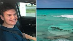 Un garçon de 16 ans se bat contre un requin qui s’est accroché à sa cuisse alors qu’il nageait en Caroline du Nord