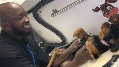 Le « parrain des chiens de Harlem » offre ses services de toilettage gratuits aux propriétaires d’animaux touchés par la pandémie