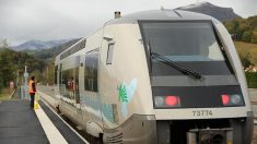 Dordogne : elle tente de rattraper un chien sur une voie ferrée et meurt après avoir été percutée par un train