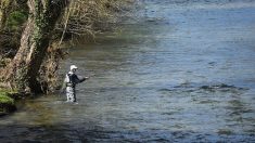Corrèze : un Briviste fait une prise exceptionnelle pendant une partie de pêche