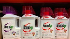 Bayer annonce un accord amiable sur le Roundup aux Etats-Unis