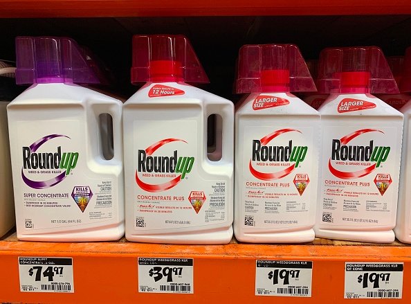 L'accord sur Roundup, qui était commercialisé par Monsanto, "mettra un terme à environ 75% des litiges" impliquant ce produit, "qui concernent environ 125.000 plaintes au total", a déclaré Bayer dans un communiqué.      (Photo : MARK RALSTON/AFP via Getty Images)
