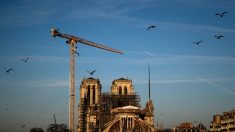 Notre-Dame de Paris: début lundi du démontage de l’échafaudage