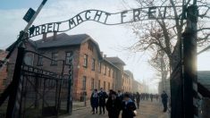 Proche de la ruine à cause de la pandémie, le musée d’Auschwitz demande une aide financière