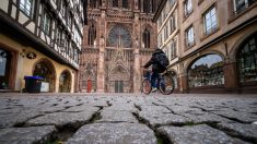 Strasbourg : un feu tricolore planté au beau milieu d’une piste cyclable