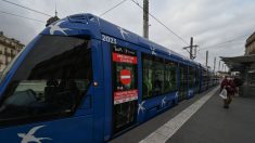 Montpellier : six femmes Bosniaques sont arrêtées pour vol dans le tram, puis remises en liberté faute d’interprète
