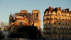 France: l’échafaudage de Notre-Dame de Paris commence à être démonté