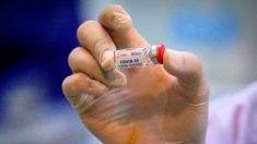 Virus du PCC : l’Europe sécurise son approvisionnement en vaccins
