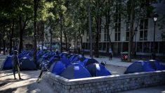 Un millier de clandestins demandent à rentrer chez eux aux frais de la France