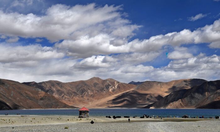 Des touristes prennent des selfies sous le regard des vaches devant le lac Pangong dans le district de Leh, dans le territoire de l'Union du Ladakh, à la frontière entre l'Inde et la Chine, le 14 septembre 2018. Des sources de la défense indienne ont indiqué que des centaines de troupes chinoises s'étaient déplacées dans une zone contestée le long de leur frontière de 3 500 kilomètres après de récents accrochages. (Prakash Singh/AFP/Getty Images)
