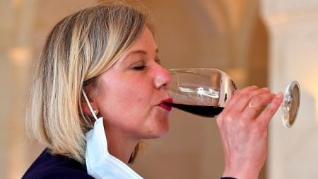 France: une dégustation de vins primeurs de Bordeaux réinventée au temps du Covid-19