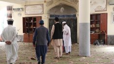Plus de 400 policiers et soldats afghans tués ou blessés par les talibans en une semaine