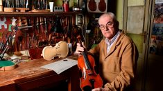 La patrie de Stradivarius, vivier de luthiers du monde entier