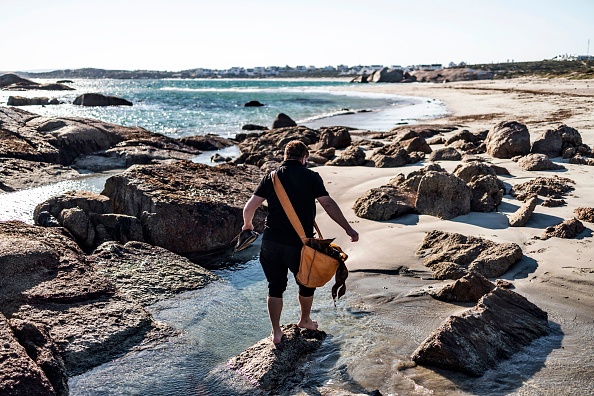 -Le chef sud-africain Kobus van der Merwe porte un sac de varech qu'il a ramassé pour son restaurant Wolfgat, sur la plage de Paternoster, le 18 juin 2020. Photo de MARCO LONGARI / AFP via Getty Images.
