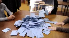 Rennes : un électeur donne son vote à Claude de Koh-Lanta lors des municipales