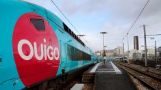 Lille : il tente de prendre un TGV en marche, reçoit une décharge de 1.500 volts et fait disjoncter toute la gare