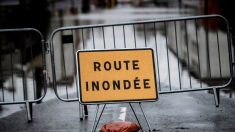 Val-de-Marne : inondations sur la RN 19, des véhicules piégés