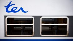 Train Toulouse-Perpignan à 1 € : «Du monde comme dans le métro aux heures de pointe»