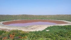 Inde : un lac âgé de 50 000 ans tourne au rose
