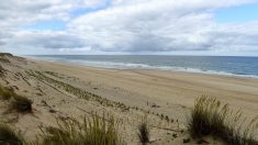 Landes : un couple de retraités se noie après avoir été emporté par une vague pendant une promenade sur la plage