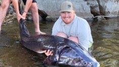 Un pêcheur remonte un énorme poisson de 2 mètres de long du lac Ontario, au Canada: «Mes jambes tremblaient»