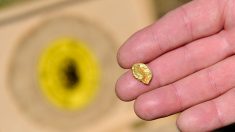 Il découvre une pépite d’or dans un massif des Pyrénées-Orientales : « La belle était dans une petite crevasse »