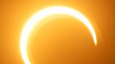 Le spectaculaire «anneau de feu» de l’éclipse solaire a fait frémir des millions de personnes dans l’hémisphère Est dimanche