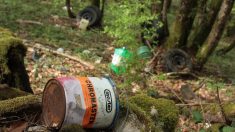 Seine-et-Marne : des chasseurs ramassent 7 tonnes de déchets dans les bois pendant une opération de nettoyage