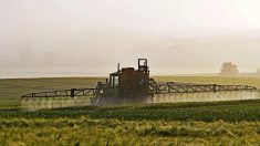 Les polices européennes ont saisi plus d’un millier de tonnes de pesticides illégaux
