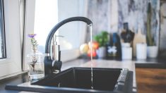 Haute-Saône : une quantité inquiétante de pesticides dans l’eau du robinet dont une majorité de perturbateurs endocriniens