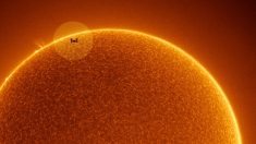 La NASA révèle une photo époustouflante de la Station spatiale internationale passant devant le Soleil