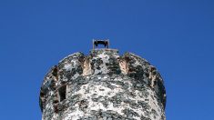 Corse: la rénovation des tours génoises à la chaux fait polémique