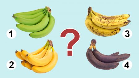 À quel stade de maturité la banane est-elle la plus saine ? Les bienfaits des bananes varient à différents stades