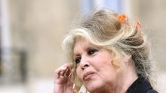 Le gros coup de gueule de Brigitte Bardot sur Sud Radio : « On est gouverné par des lâches »