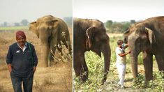 Un gardien d’éléphants depuis 11 ans partage son amour pour ces animaux
