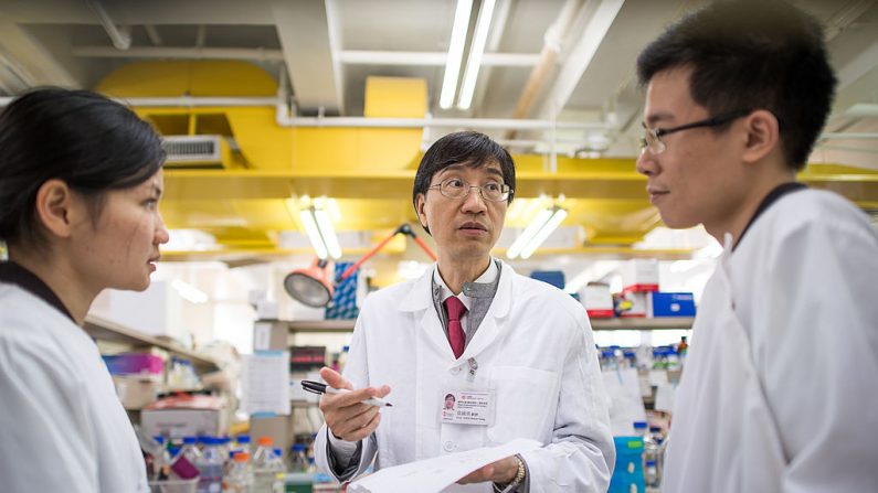 Yuen Kwok-yung (au centre) dans un laboratoire du Département de microbiologie de l'université de Hong Kong à l'hôpital Queen Mary de Hong Kong, le 11 mars 2013. (Philippe Lopez /AFP via Getty Images)