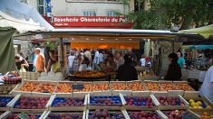 Provence : « Ici, l’eau est de l’or », produire des fruits en irriguant « de façon raisonnée »