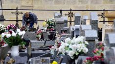 Aveyron : deux enfants dégradent 24 tombes du cimetière de Flagnac à coups de boules de pétanque