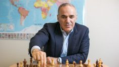 L’ex-champion du monde d’échecs et militant russe demande d’agir contre les violateurs des droits de l’homme
