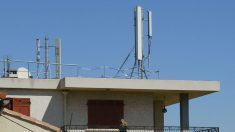 Jura : deux anti-5G ont détruit une antenne-relais, ils écopent de prison ferme