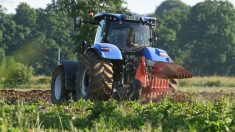 Drôme: une équipe de malfaiteurs volaient des tracteurs puis ravageaient des vergers – ils ont été arrêtés