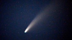 La comète « Neowise » visible jusqu’à la fin du mois dans toute la France ou dans… 6800 ans