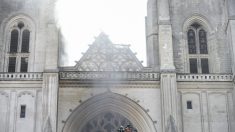 Incendie dans la cathédrale de Nantes : le servant d’autel rwandais passe aux aveux et est écroué