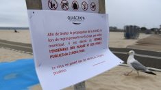 France: sur la presqu’île bretonne de Quiberon, vacances sous restrictions et surveillance sanitaire