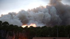 Un incendie à Anglet ravage 165 hectares de forêt : des habitants évacués, des maisons endommagées, le feu maîtrisé