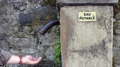 Pérols : recouverte depuis 50 ans, le maire veut faire rejaillir une source d’eau potable gazeuse